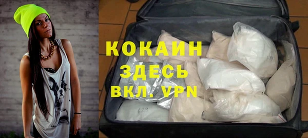 дмт Абаза