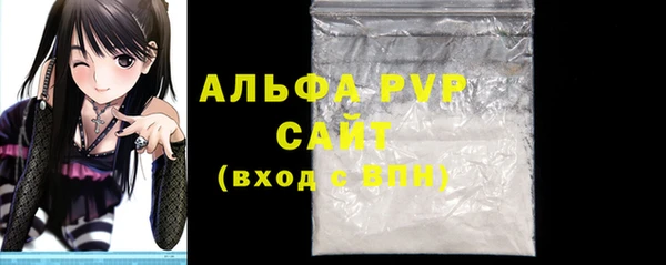 стафф Алексин