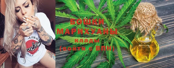 дмт Абаза