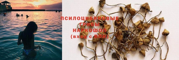apvp Абинск
