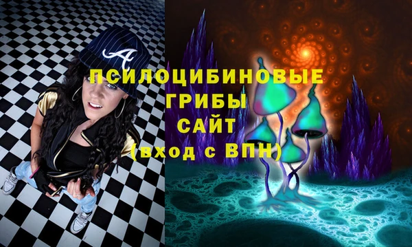 apvp Абинск