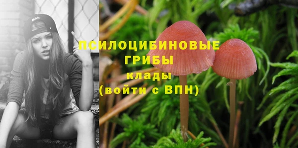 прущий лед Абдулино