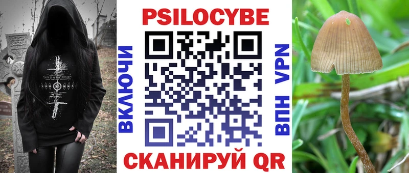 блэк спрут ТОР  Сертолово  Галлюциногенные грибы Psilocybe  где купить наркоту 